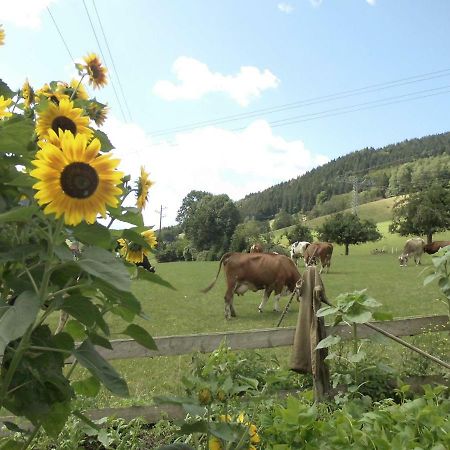 Urlaub Auf Dem Haenslehof Elzach Exterior foto