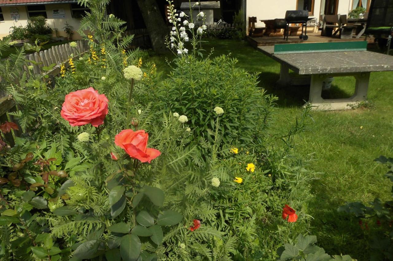 Urlaub Auf Dem Haenslehof Elzach Exterior foto