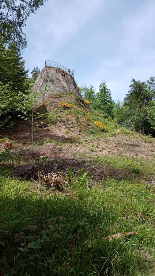 Urlaub Auf Dem Haenslehof Elzach Exterior foto