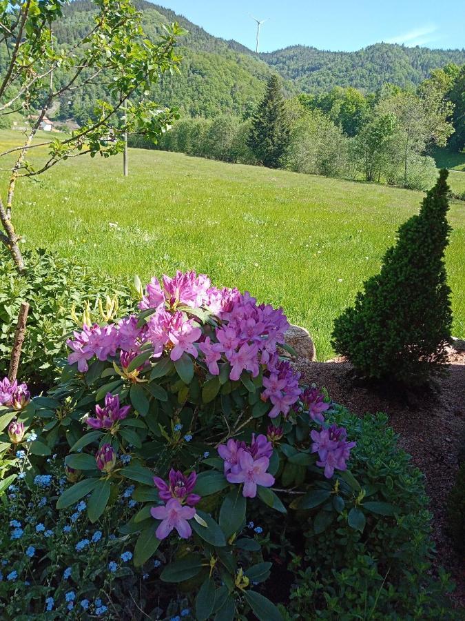 Urlaub Auf Dem Haenslehof Elzach Exterior foto