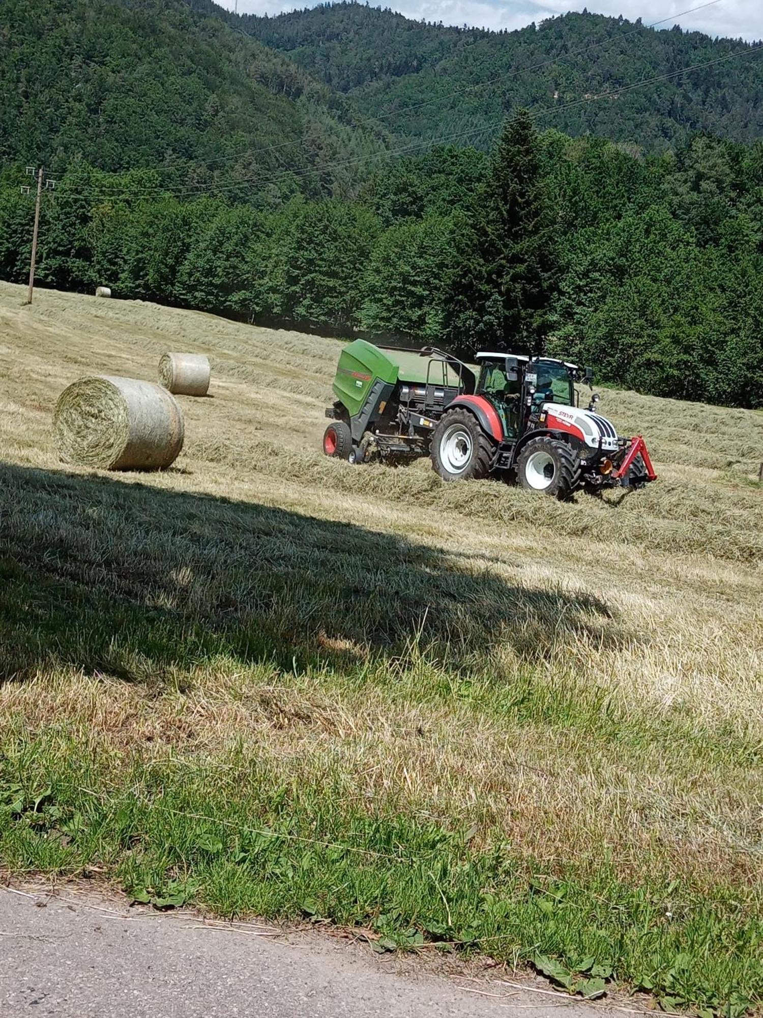 Urlaub Auf Dem Haenslehof Elzach Exterior foto