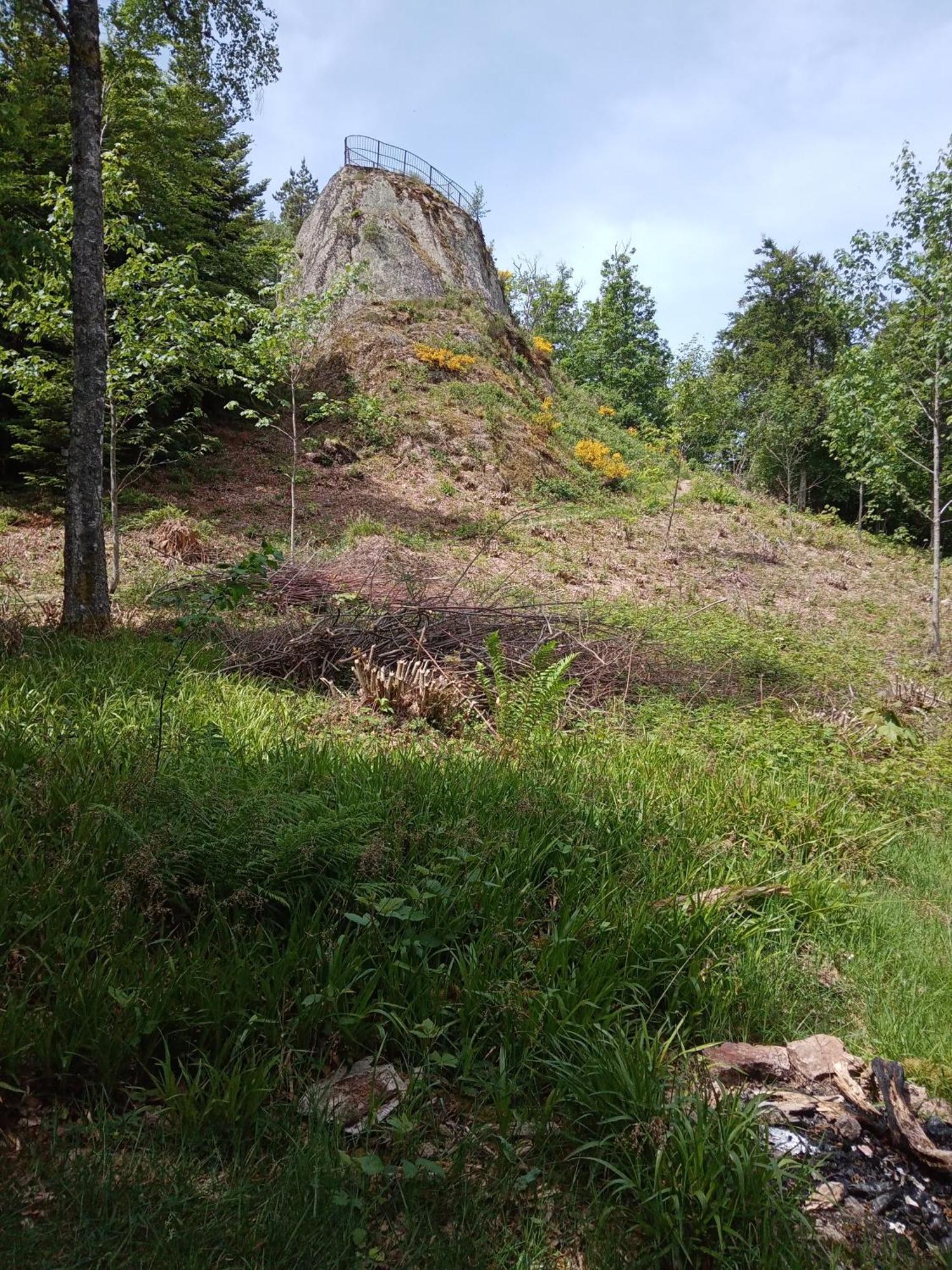 Urlaub Auf Dem Haenslehof Elzach Exterior foto