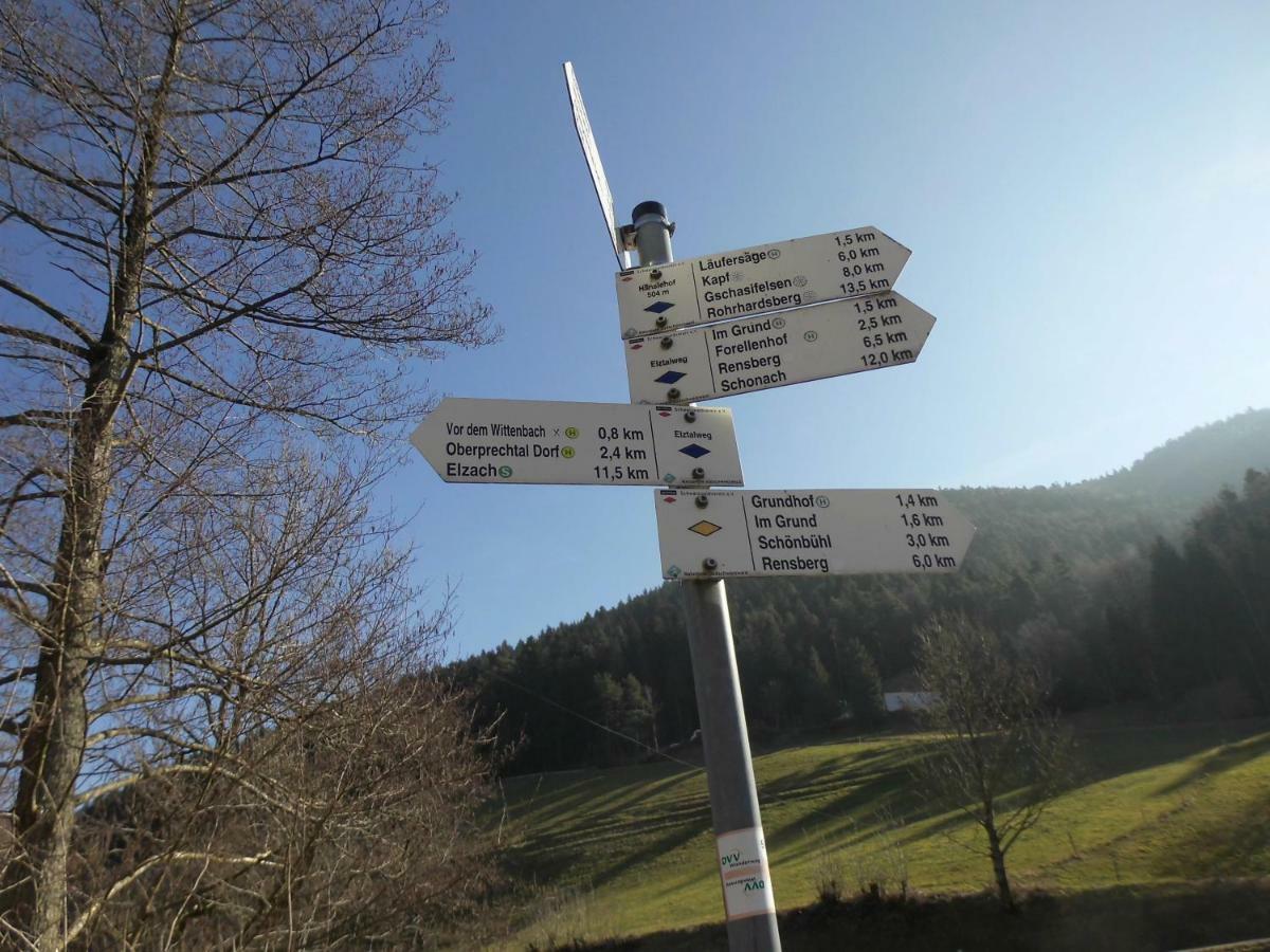 Urlaub Auf Dem Haenslehof Elzach Exterior foto